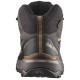 Salomon X Ultra 360 MID GTX